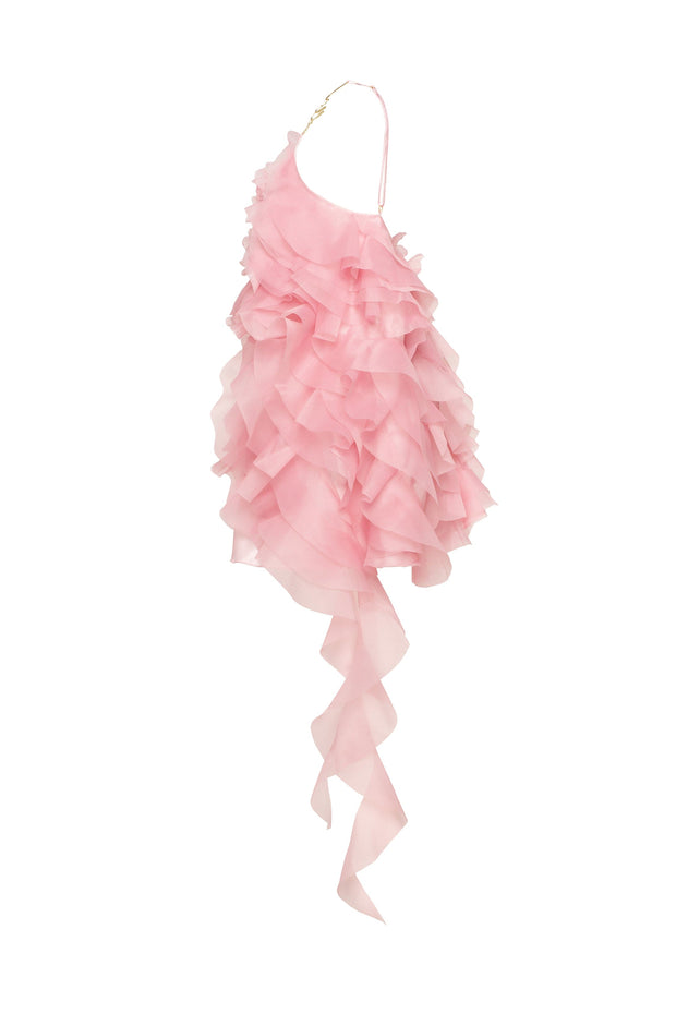 Romantic ruffled pink mini dress with rose appliques, Garden of Eden