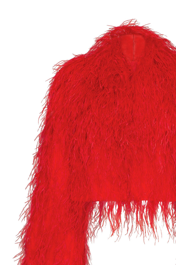 Bizarre red feather-trimmed coat, Xo Xo