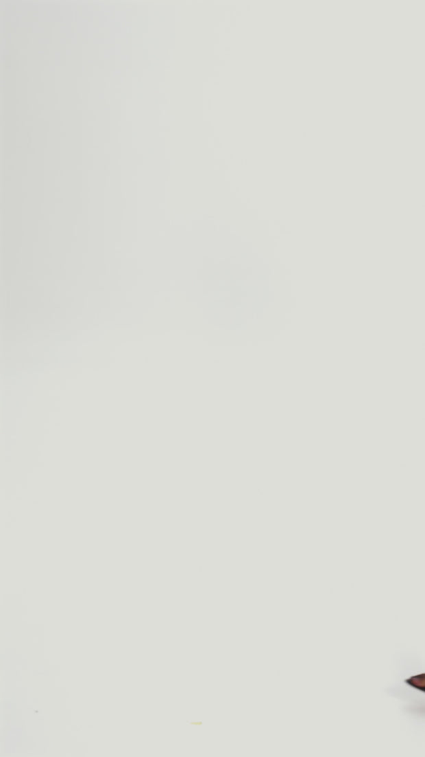 updated#gid://shopify/Video/67166114840924#video_id