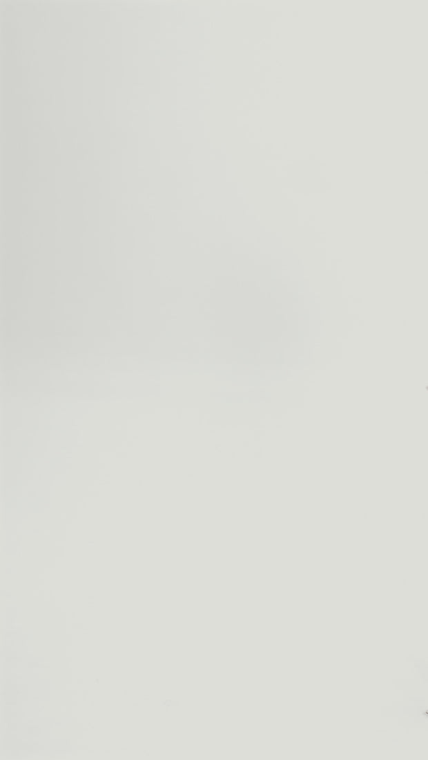 updated#gid://shopify/Video/67166503469404#video_id